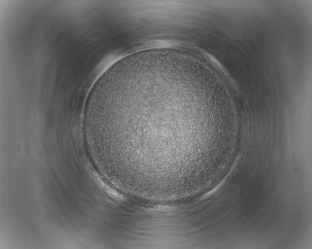 X0000081621178200701151423