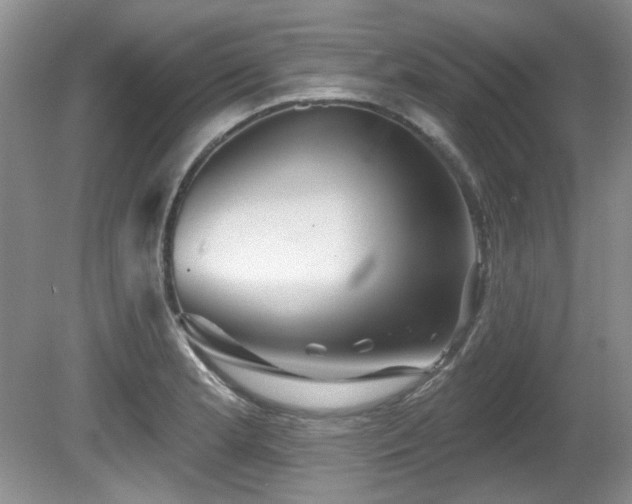 X0000081621181200701151423