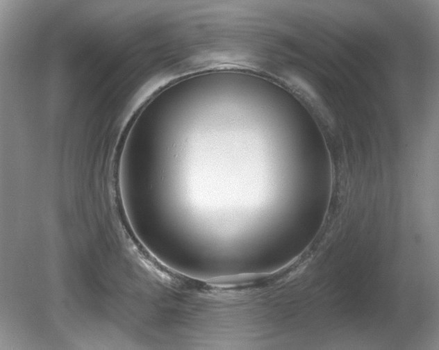 X0000081621182200701151423
