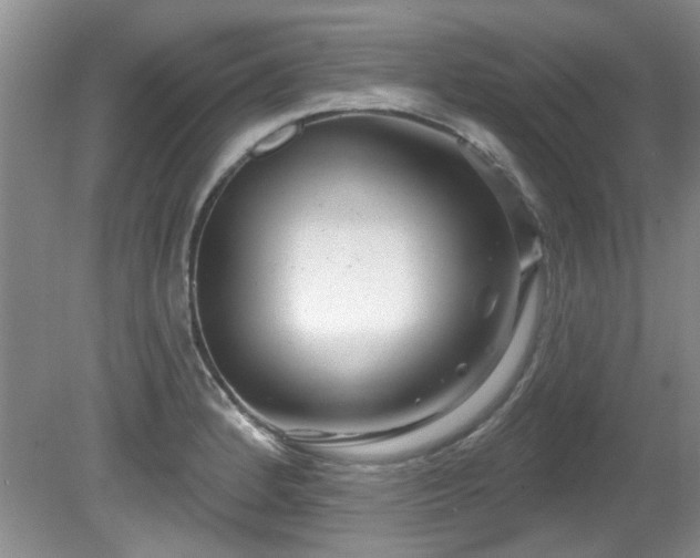 X0000081621184200701151423