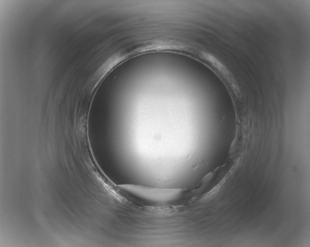 X0000081621185200701151423