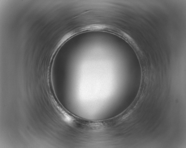 X0000081621186200701151423