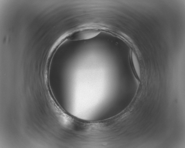 X0000081621188200701151423