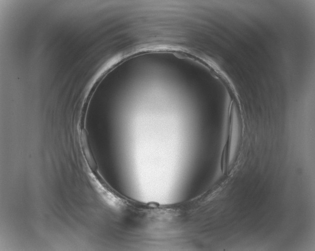 X0000081621189200701151423