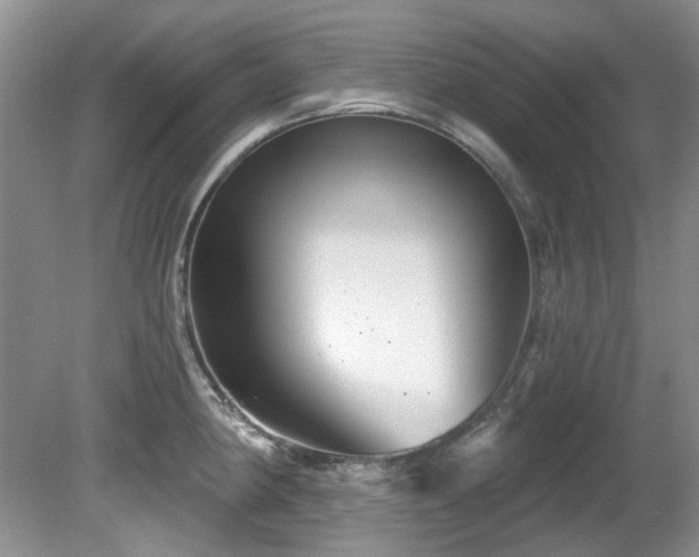 X0000081621190200701151423