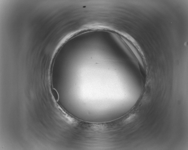 X0000081621191200701151423