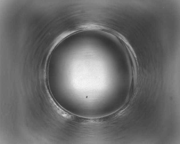 X0000081621195200701151423