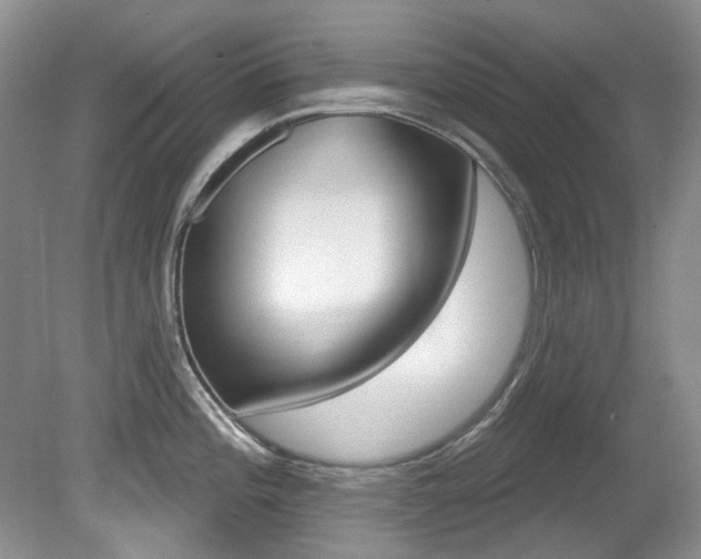 X0000081621196200701151423