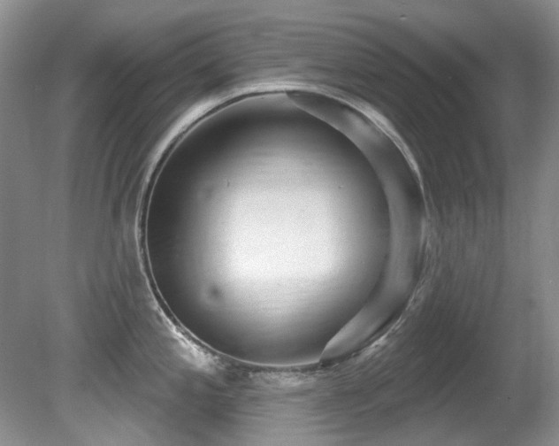 X0000081621197200701151423