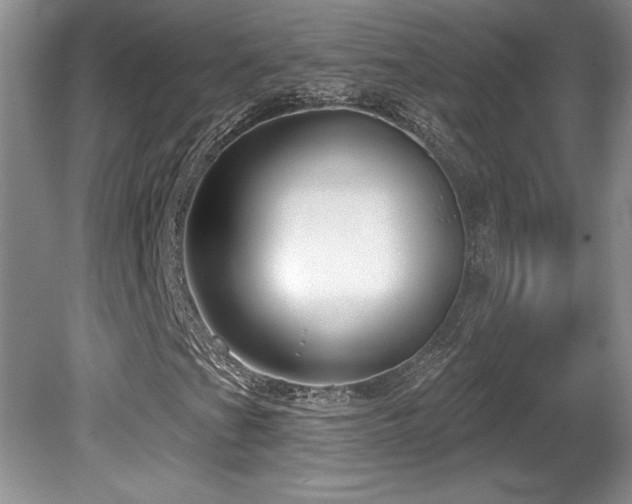 X0000081621201200701151422