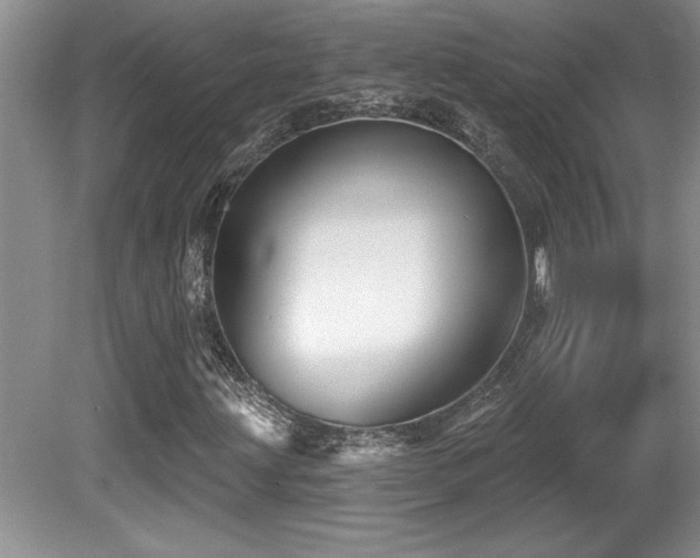 X0000081621203200701151422