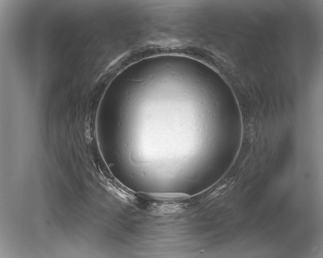 X0000081621205200701151422