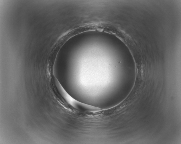 X0000081621206200701151422
