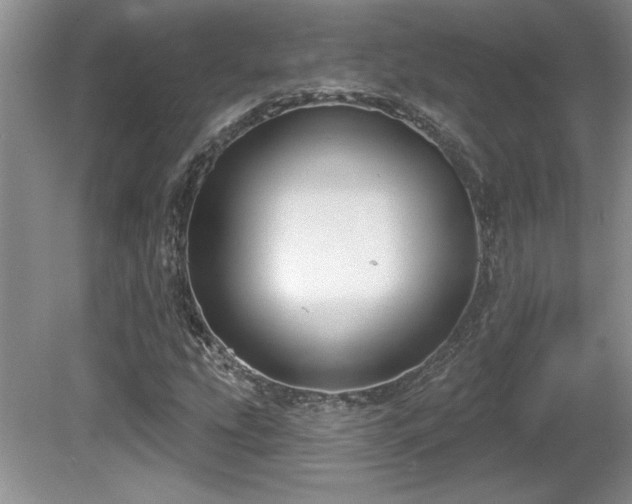 X0000081621207200701151422