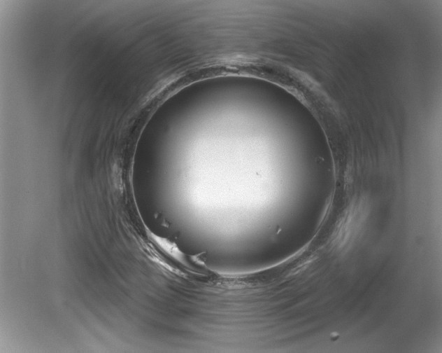 X0000081621209200701151422
