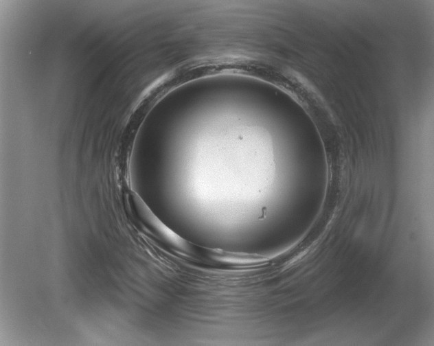 X0000081621210200701151422