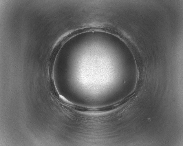 X0000081621214200701151422
