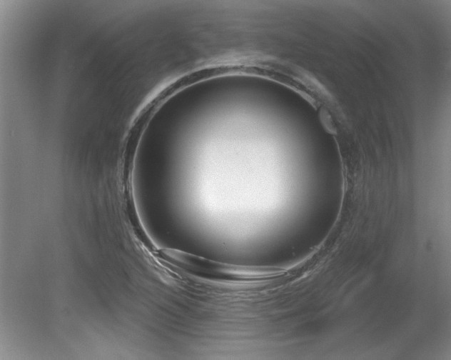 X0000081621216200701151423
