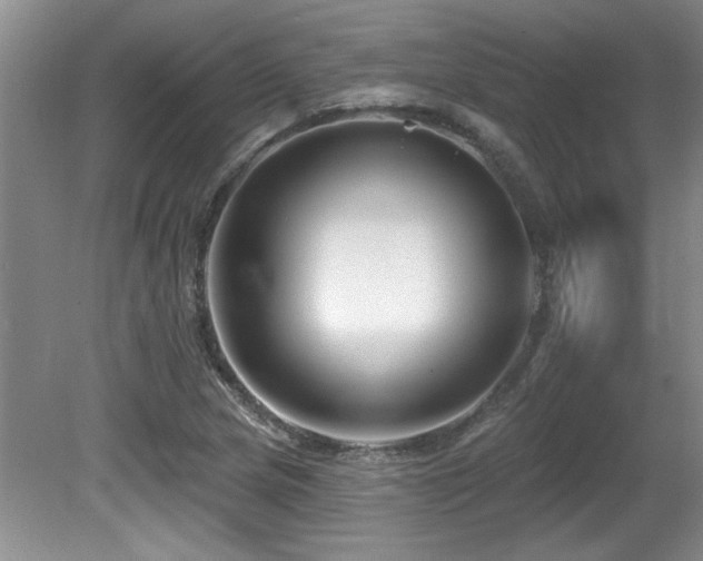 X0000081621217200701151423