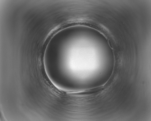X0000081621218200701151423