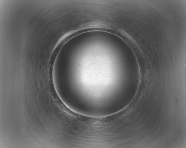 X0000081621222200701151423