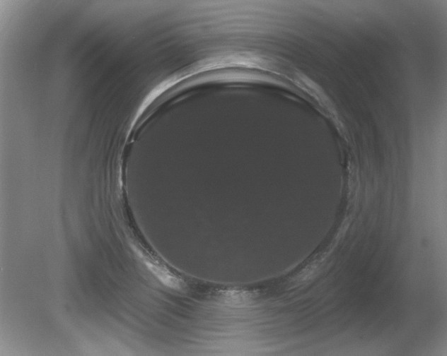 X0000081621226200701151423