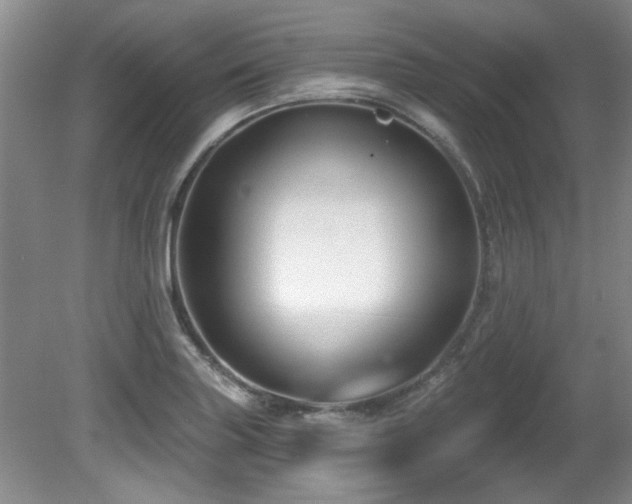 X0000081621227200701151423