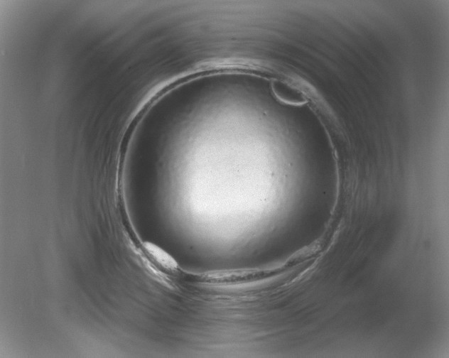 X0000081621228200701151423