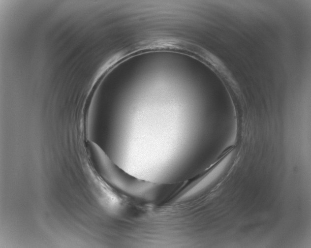 X0000081621234200701151423