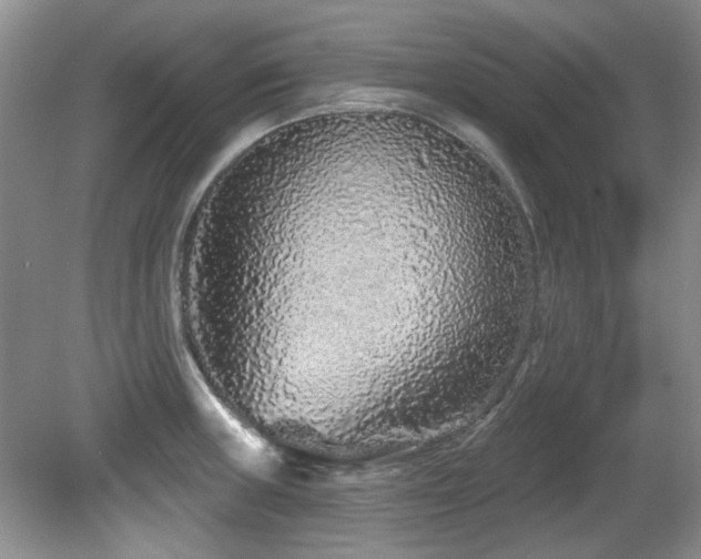X0000081621235200701151423