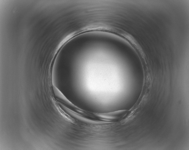 X0000081621242200701151423