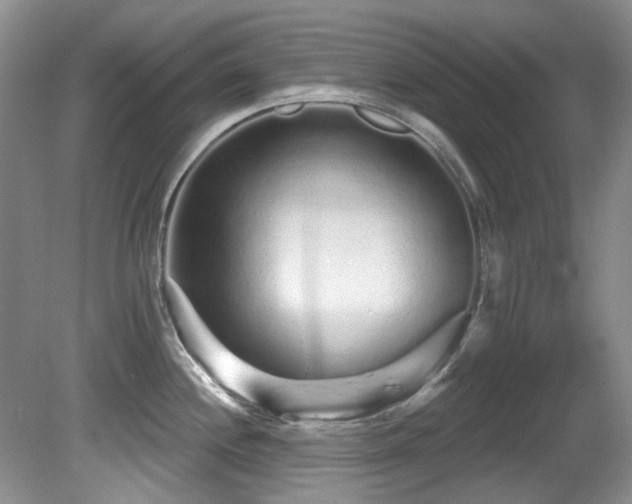 X0000081621244200701151423
