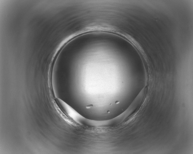 X0000081621246200701151423
