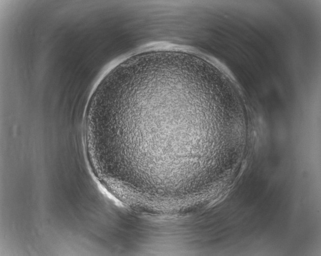 X0000081621247200701151423