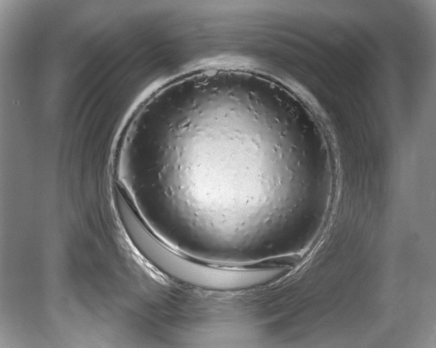 X0000081621248200701151423