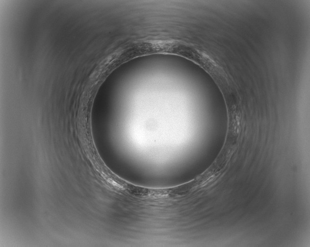 X0000081621249200701151422