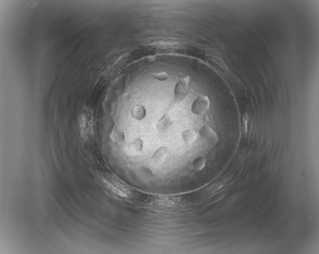 X0000081621251200701151422