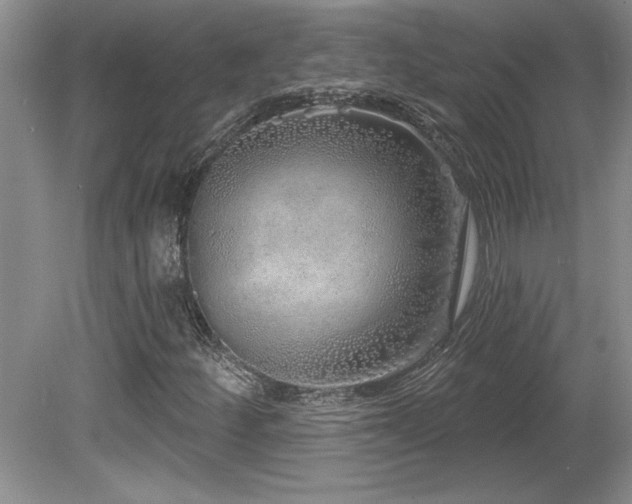 X0000081621252200701151422
