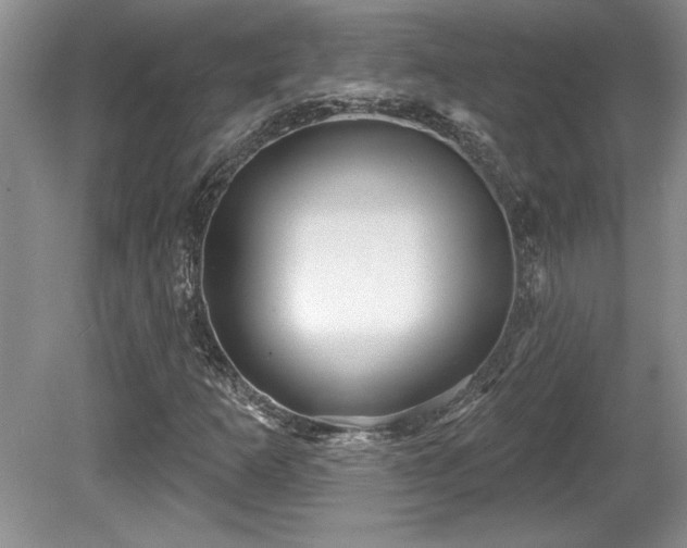 X0000081621253200701151422