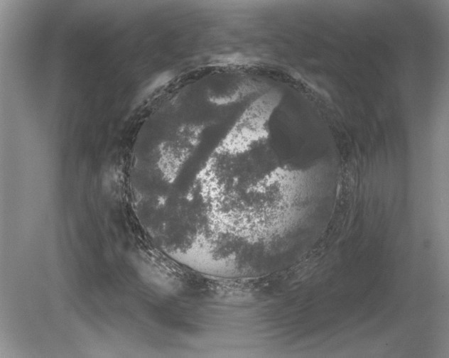 X0000081621254200701151422