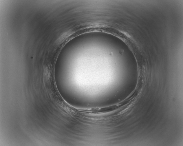 X0000081621257200701151422