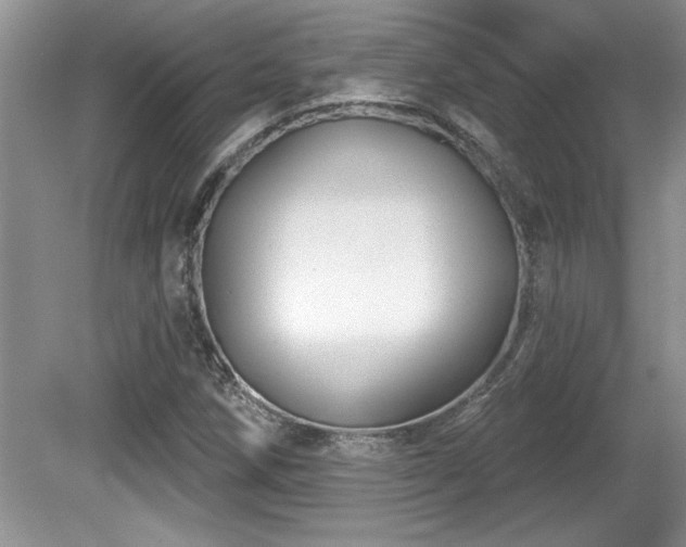 X0000081621258200701151422