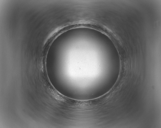 X0000081621262200701151422
