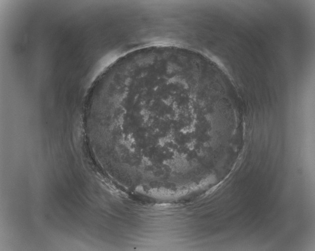 X0000081621263200701151422