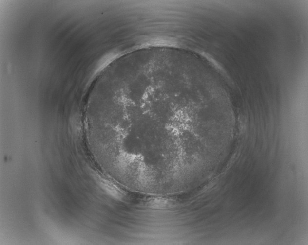 X0000081621266200701151422