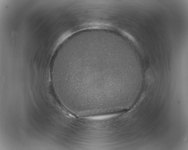 X0000081621267200701151422