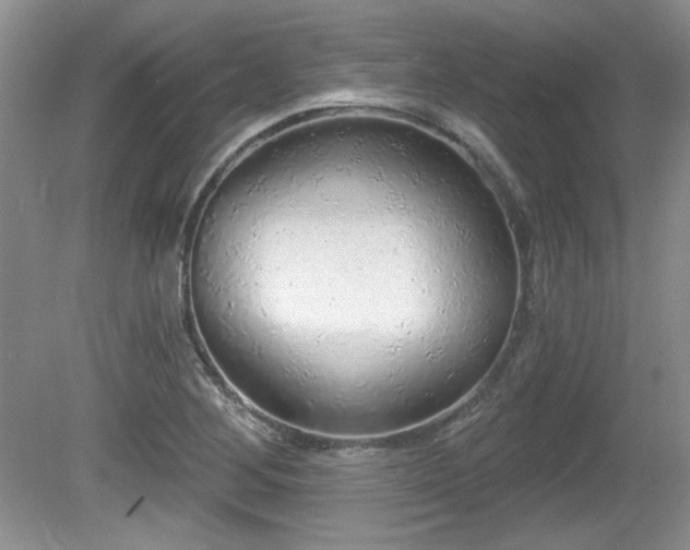 X0000081621268200701151422