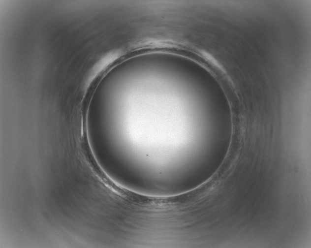 X0000081621269200701151422