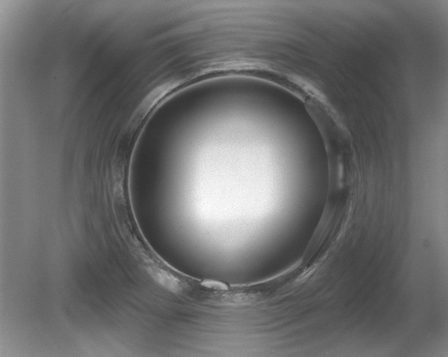 X0000081621273200701151422