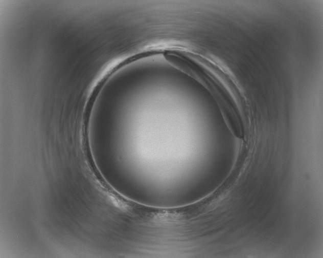 X0000081621277200701151422